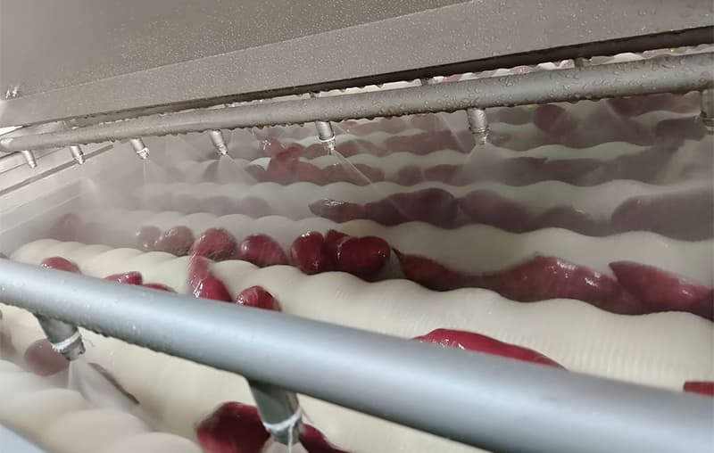 images/1686912273850sweet potato cleaning sorting machine.jpg